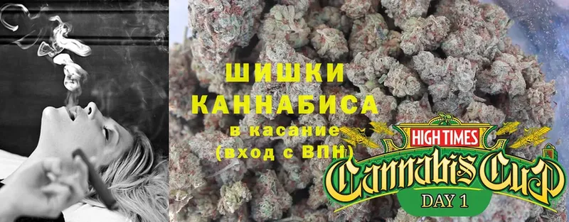 Шишки марихуана THC 21%  Качканар 